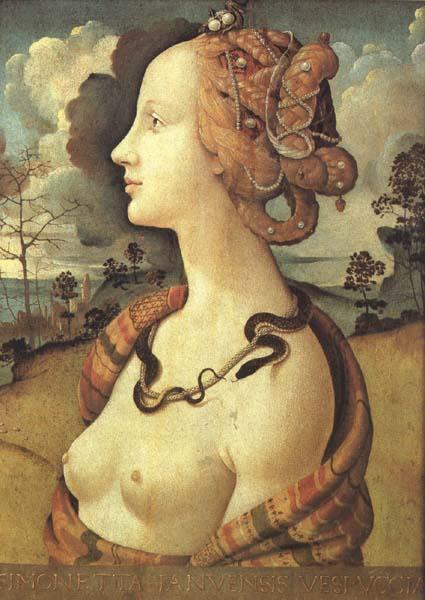 Piero di Cosimo Simonetta Vespucci (mk45) Sweden oil painting art
